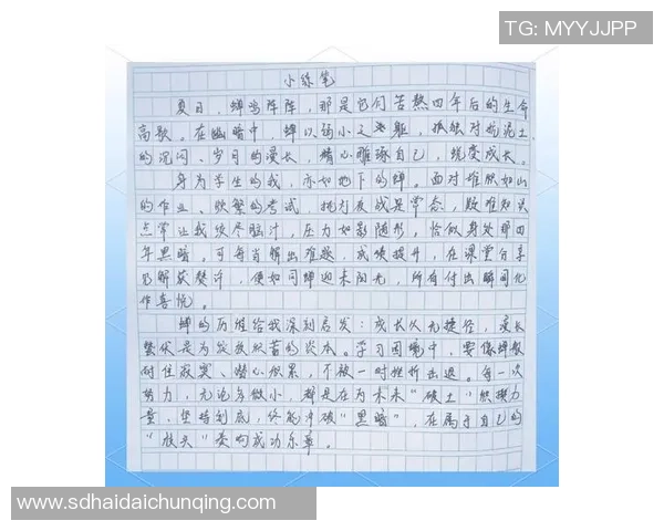 何思雨的成长之路：从校园到职场的蜕变与挑战