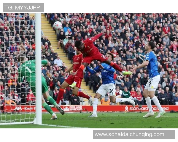 埃弗顿对阵利物浦央视5直播精彩回顾与赛前分析