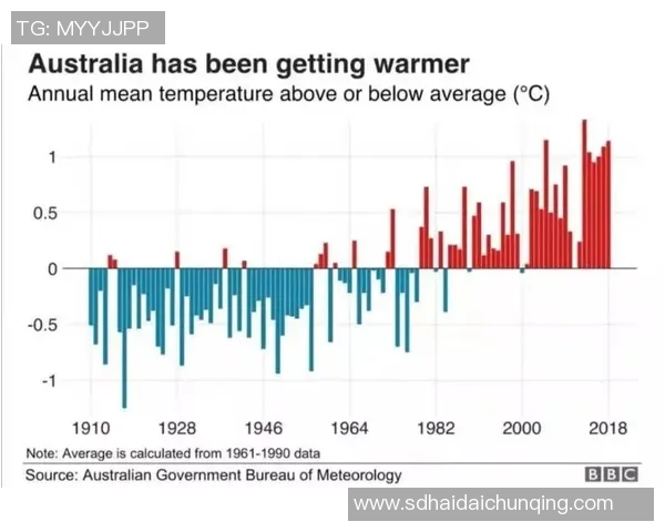 日本与澳大利亚注册对比分析探讨两国注册制度的异同与优势