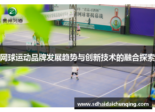 网球运动品牌发展趋势与创新技术的融合探索