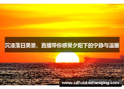 沉浸落日美景，直播带你感受夕阳下的宁静与温暖
