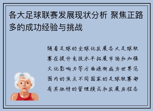 各大足球联赛发展现状分析 聚焦正路多的成功经验与挑战