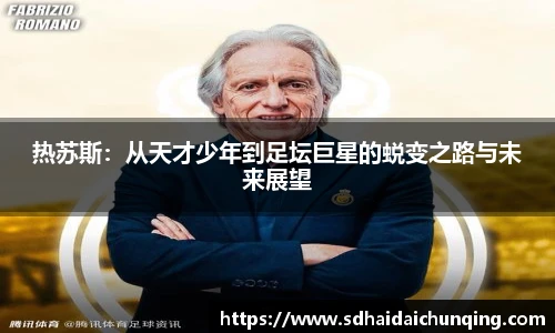 678体育登录