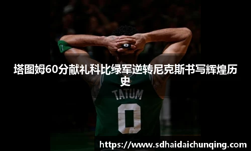 678体育登录